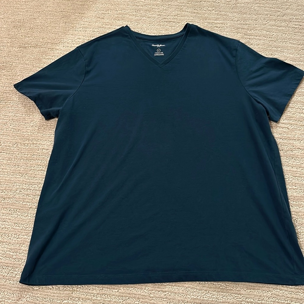 Goodfellow v neck T shirt